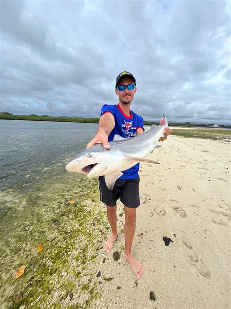 Last Blacktip Shark Caught Carcharhinus Limbatus Fishfriender