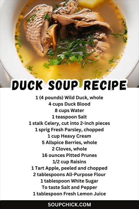 20 Minutes Duck Soup Recipe A Culinary Masterpiece