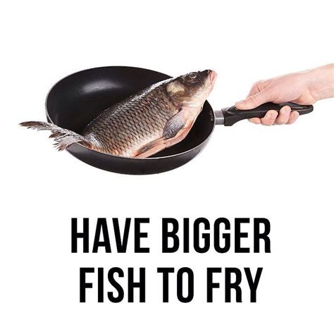 Have Bigger Fish To Fry Idioms English Idioms Big Fish