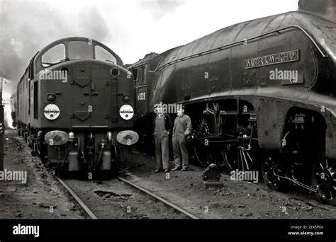 British Rail Class 40 Diesel Loco D265 And Ex Lner A4 Pacific 60028