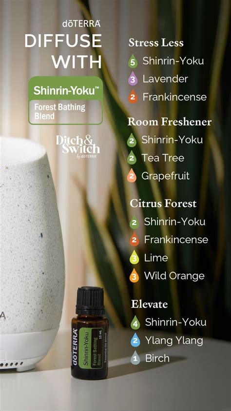 Shinrin Yoku Diffuser Blends In 2024 Essential Oil Blends Recipes Diy Essential Oil Recipes