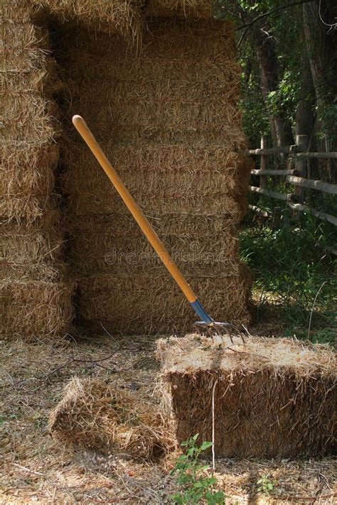 Pitch Fork In Hay In Horse Stall Stock Photo Image Of Rustic Farmer