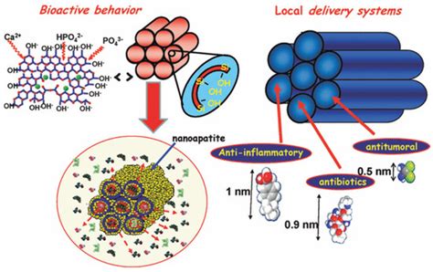 Nanomaterials Free Full Text A Guided Walk Through The World Of Mesoporous Bioactive Glasses