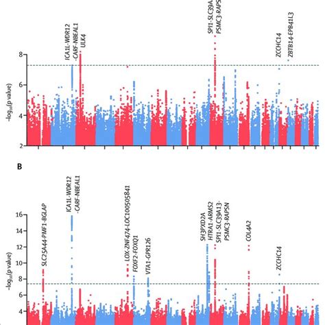 Manhattan Plot Of Genome Wide SNP Associations By Genomic Position A