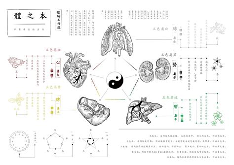 Modernization Of Traditional Chinese Medicine — Information Is