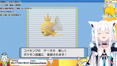 画像は動画「【ポケモンbdsp】色違い旅パ金コイ耐久27日目【白上フブキ金コイ耐久27】」よりの画像 Kai