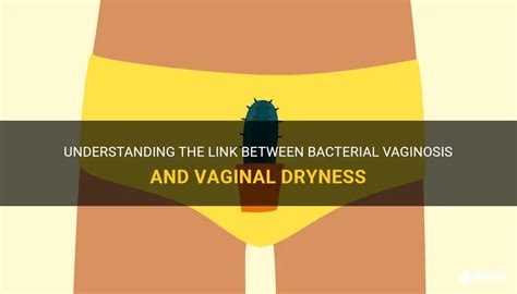 Understanding The Link Between Bacterial Vaginosis And Vaginal Dryness