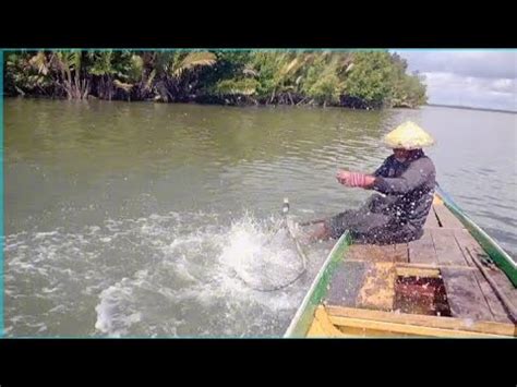 Mancing Pinggiran Ikan Pada Ngamuk Ekor Baramundi Tangan Teras Kaku