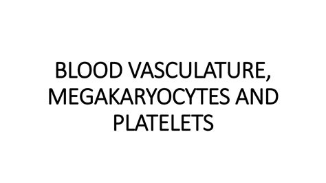 Solution Blood Vasculature Megakaryocytes And Platelets Studypool