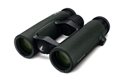 The 3 Best Birding Binoculars On The Market In 2024