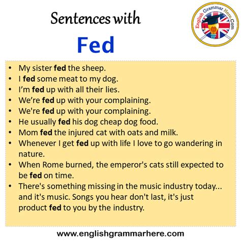 Sentences With Fed Fed In A Sentence In English Sentences For Fed