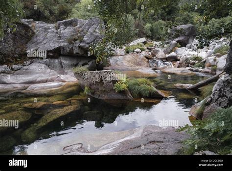 Landscape View Of Green Pond And Waterfall Surrounded By Stones And