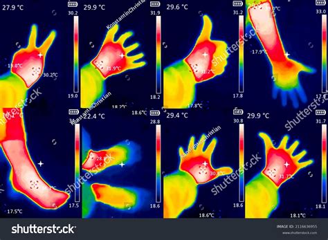 Human Body Thermal: Over 972 Royalty-Free Licensable Stock Illustrations & Drawings | Shutterstock