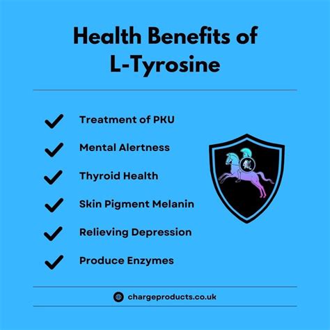 Tyrosine: Benefits, Side Effects, Dosage, And Interactions, 42% OFF