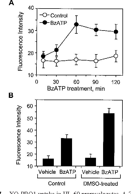 Figure 1 From Neutrophilsgeneration In Human Promyelocytes And Membrane