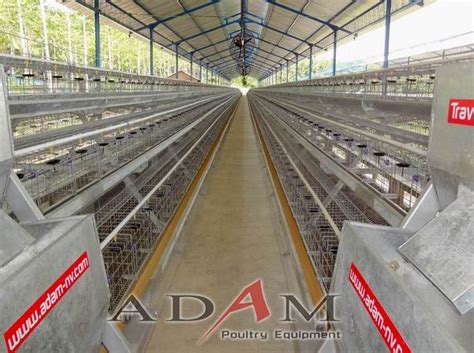 Kandang Batrey Ayam Petelur Kandang Batre Kawat Adam Nv