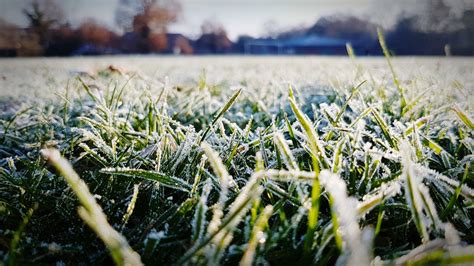 Wetter In Steinburg Aktuell DWD Wetterwarnung Gefahr Wegen Frost Am