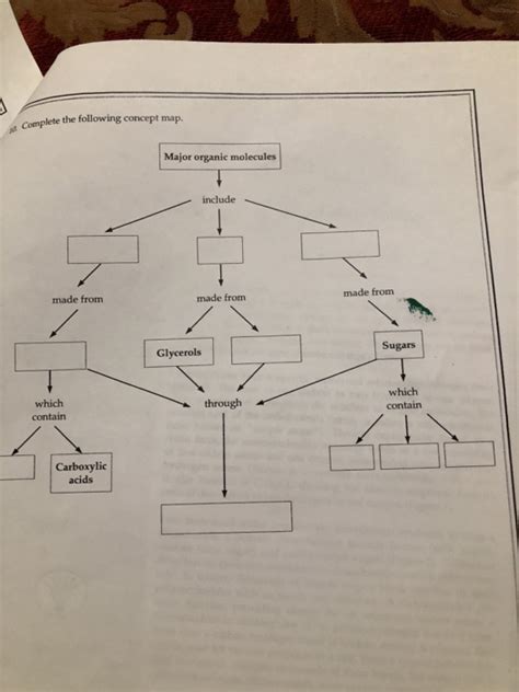 Major Organic Molecules Concept Map New Jersey Map