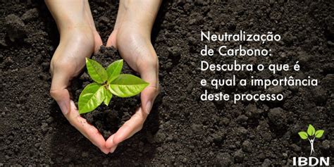 Neutraliza O De Carbono Descubra O Que E Qual A Import Ncia Deste