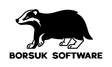borsuk software