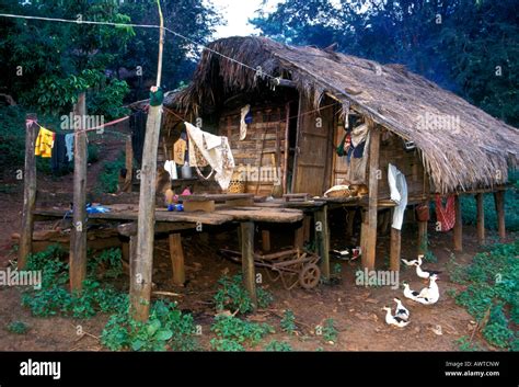 Maison Sur Pilotis En Bambou Noir Village Lahu Hill Tribe Province