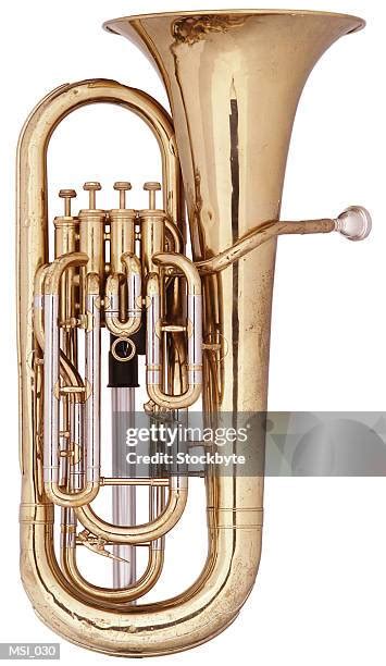 11,830 Tuba Stock Photos, High-Res Pictures, and Images - Getty Images