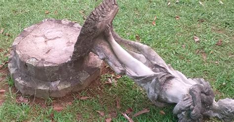 Parque Malwee em Jaraguá do Sul fecha portas em protesto contra