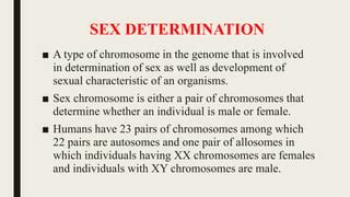Sex Determination PPTX