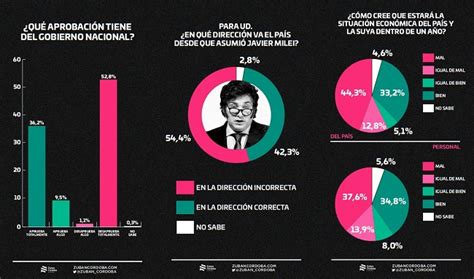 Crece La Desaprobación De Milei Y Su Gobierno A Un Mes Y Medio De Asumir El Cactus