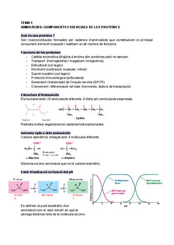 Tema 1 Aminoacids Components Essencials De Les Proteines Pdf