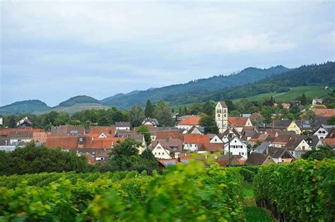 Anträge aus dem Gemeinderat Müllheim hat den Haushalt nachgebessert