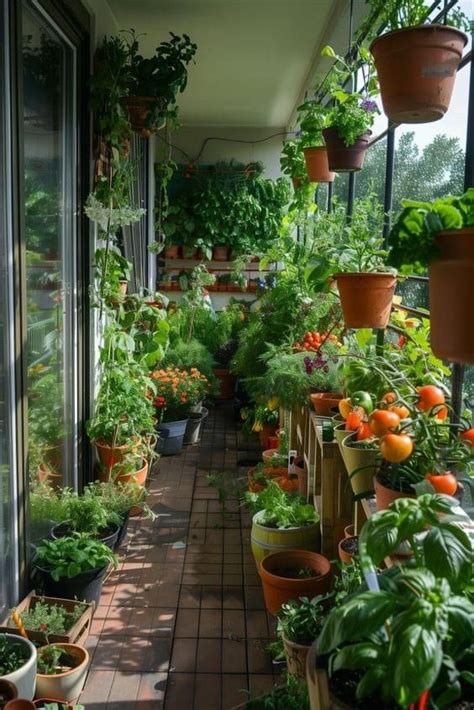 Pin By Al Jazayiri On Nature In Urban Gardening Balcony