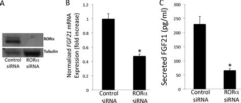 Regulation Of FGF21 Expression And Secretion By Retinoic Acid Receptor