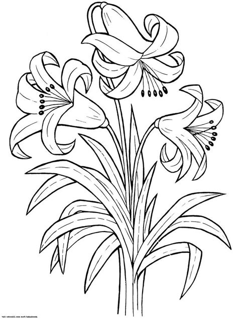 Flower Coloring Archives Page Of Blogx Info Blogx Info