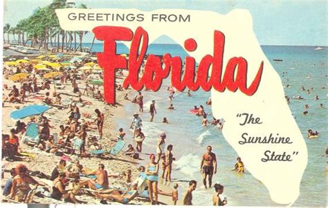 Vintage Florida Postcard Greetings From Florida The Sunshine Etsy