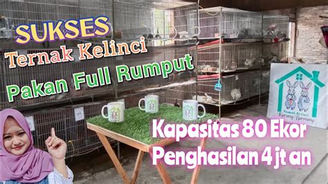 TERNAK KELINCI PAKAN FULL RUMPUT RAHASIA SUKSES TERNAK KELINCI YouTube