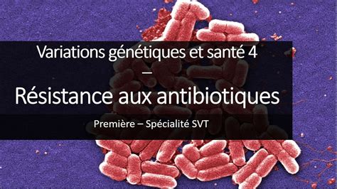 Cours Spé SVT 1eres La résistance aux antibiotiques YouTube