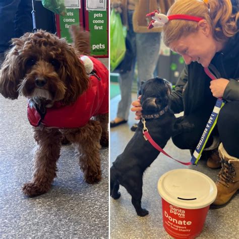 Santa Paws Appeal At Pets At Home Rspca Halifax Huddersfield