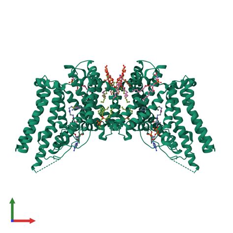 Pdb Vp Gallery Protein Data Bank In Europe Pdbe Embl Ebi