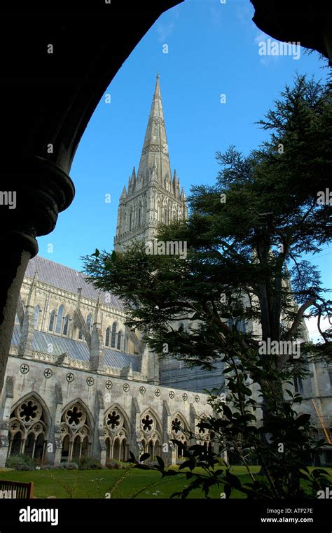 Salisbury Cathedral Salisbury Wiltshire England Uk United Kingdom