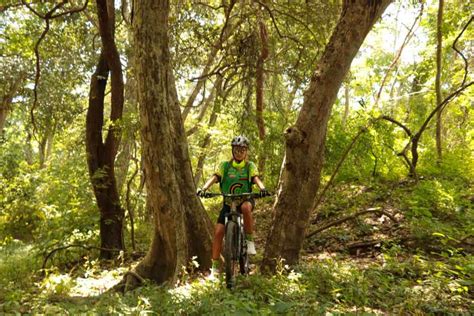 From Puerto Vallarta: Jungle Mountain Bike Tour | GetYourGuide