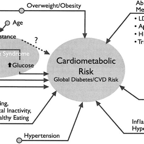 Factors Contributing To Cardiometabolic Risk Download Scientific Diagram