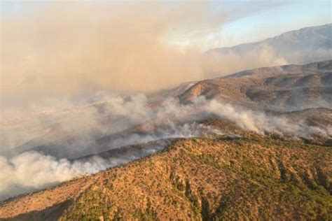 Incendios forestales arrasan con 3 446 hectáreas Cinco zonas están en