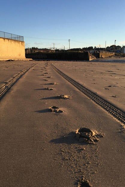 Premium Photo Tire Tracks On Sand Against Clear Sky