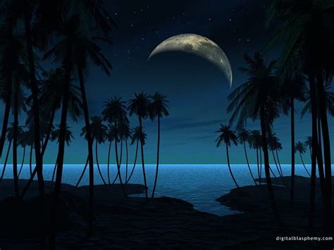 1920x1080px 1080p Free Download A Moony Night Qewr Erwq Werwq Erwqe Hd Wallpaper Peakpx