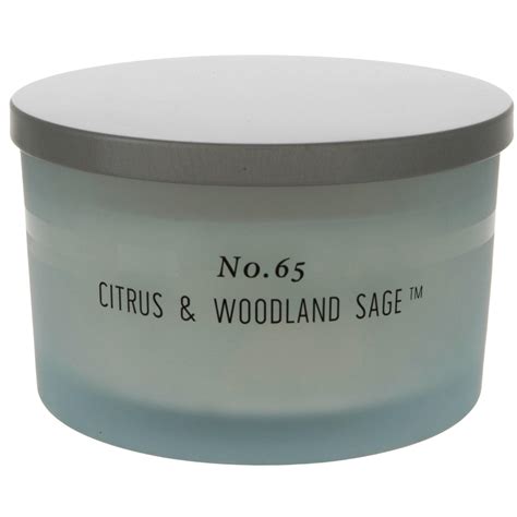 Citrus And Woodland Sage Jar Candle Hobby Lobby 2308138