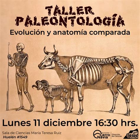 Taller de Paleontología Evolución y anatomía comparada Corporación