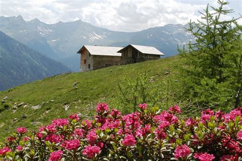 Naturpark Adamello Brenta In Italien Trentino Alpen Guide De