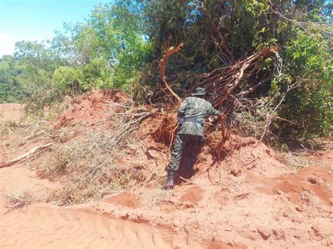 Homem é autuado em mais de R 50 mil pela derrubada irregular de 167