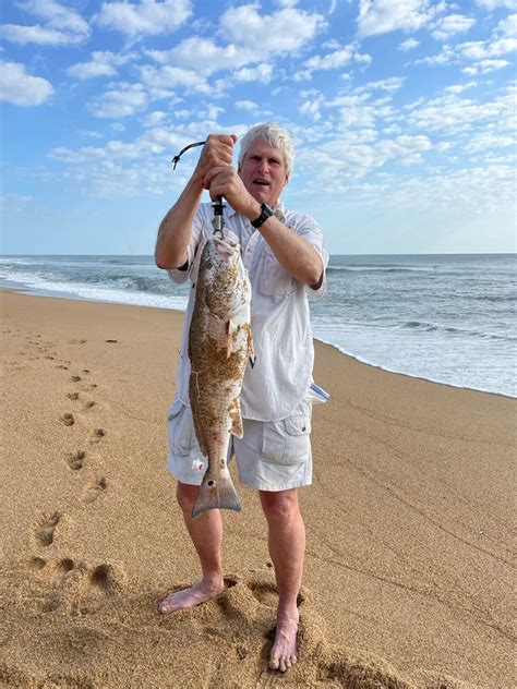 Red Drum Catches On Outer Banks 42822 Bobs Bait And Tackle